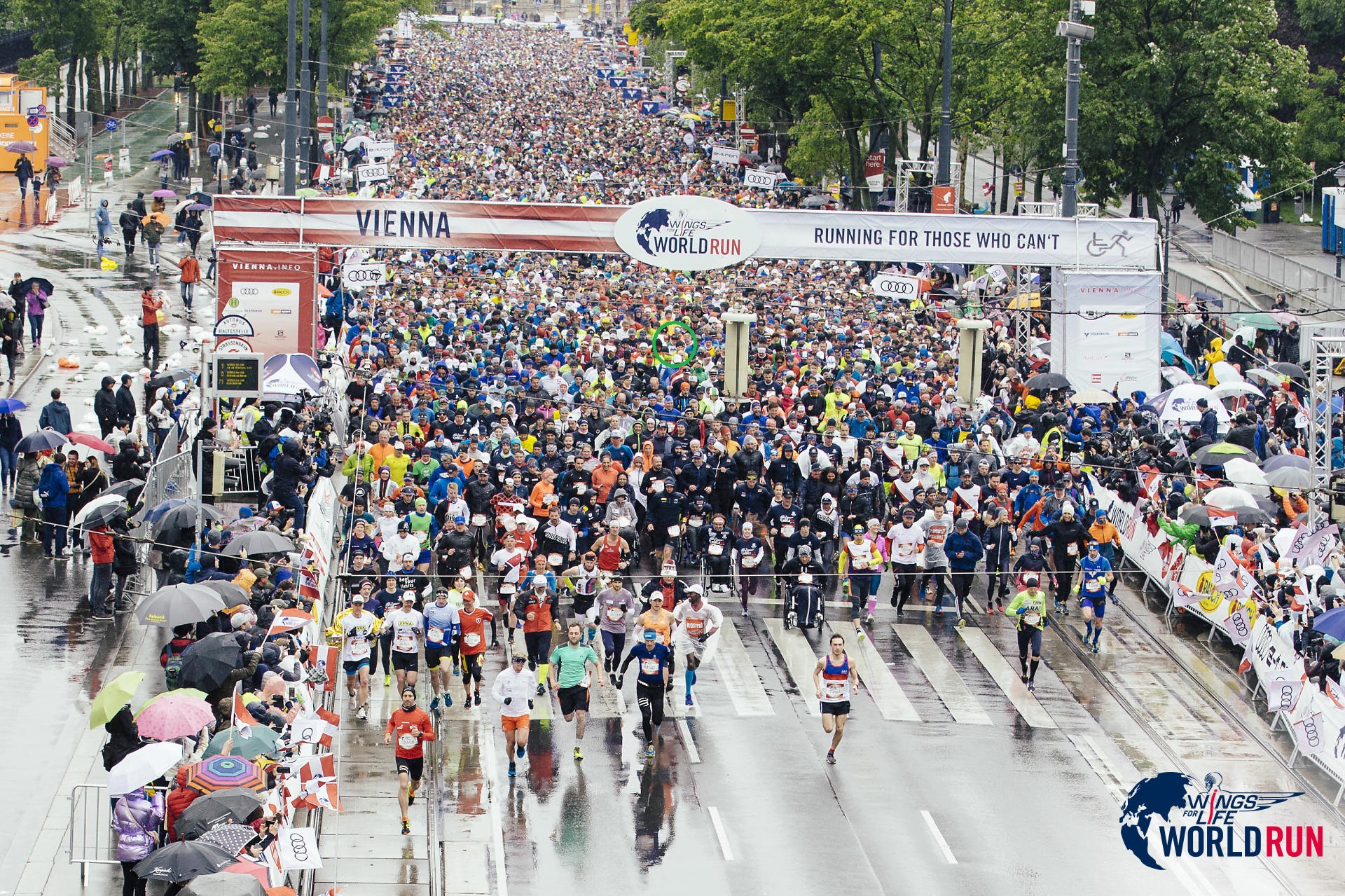 Wings for Life World Run 2019 Wien Hornsteinbewegt
